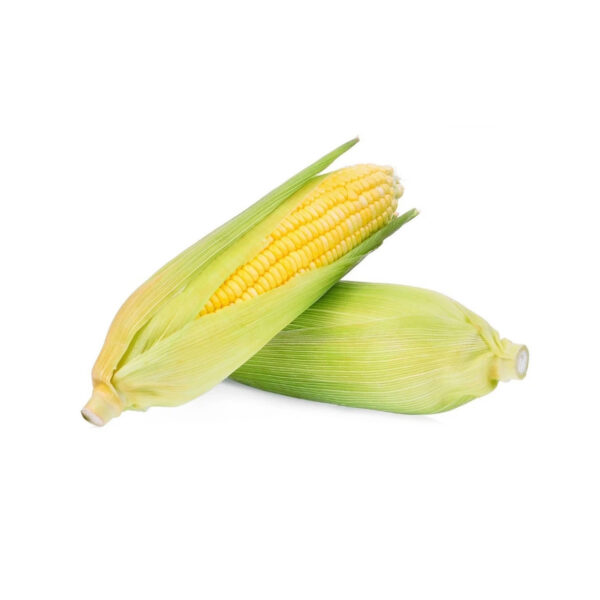 Roasted Corn